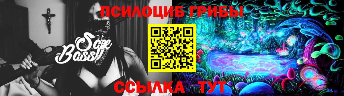 Железноводск  Галлюциногенные грибы прущие грибы  Вход с VPN 